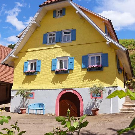 Winzerhof Maennle Lägenhet Oberkirch  Exteriör bild