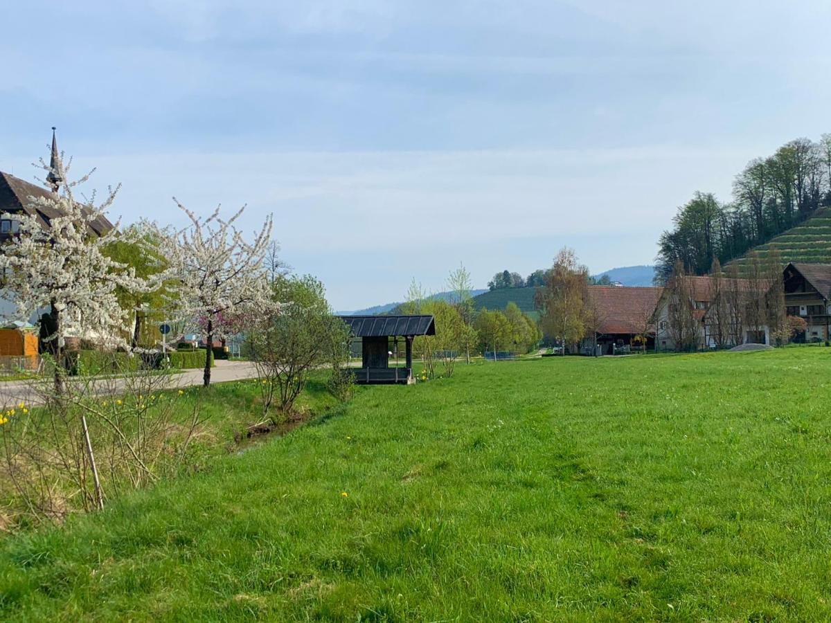 Winzerhof Maennle Lägenhet Oberkirch  Exteriör bild