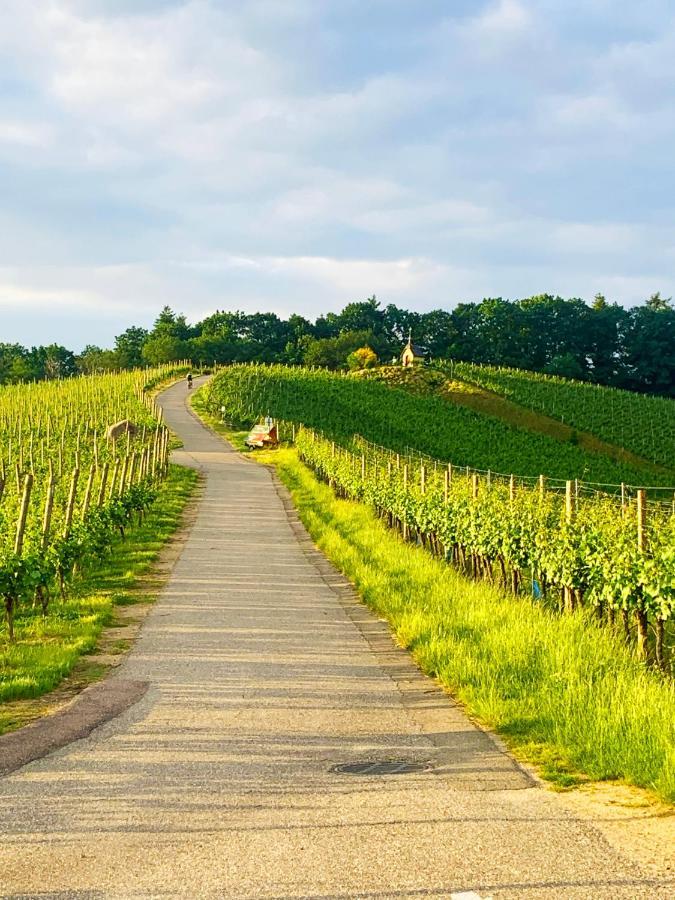 Winzerhof Maennle Lägenhet Oberkirch  Exteriör bild