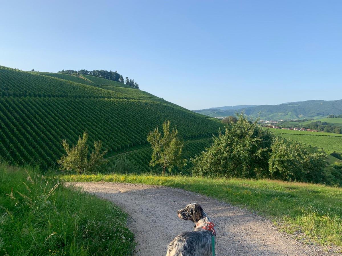 Winzerhof Maennle Lägenhet Oberkirch  Exteriör bild