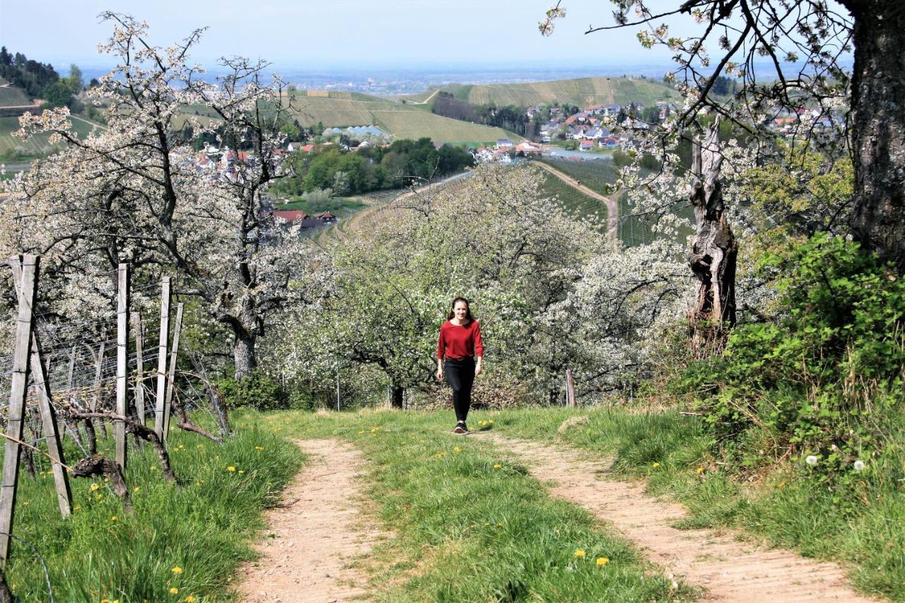 Winzerhof Maennle Lägenhet Oberkirch  Exteriör bild