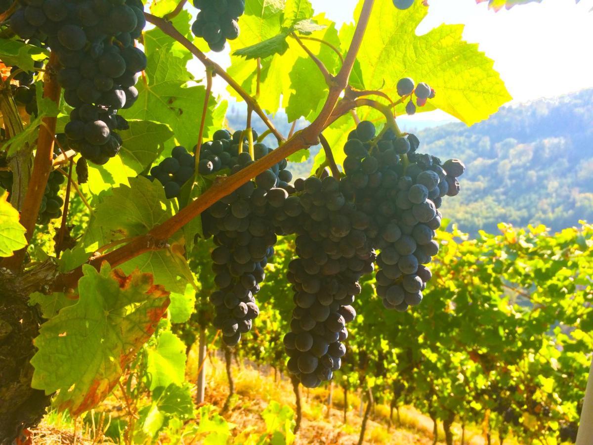 Winzerhof Maennle Lägenhet Oberkirch  Exteriör bild