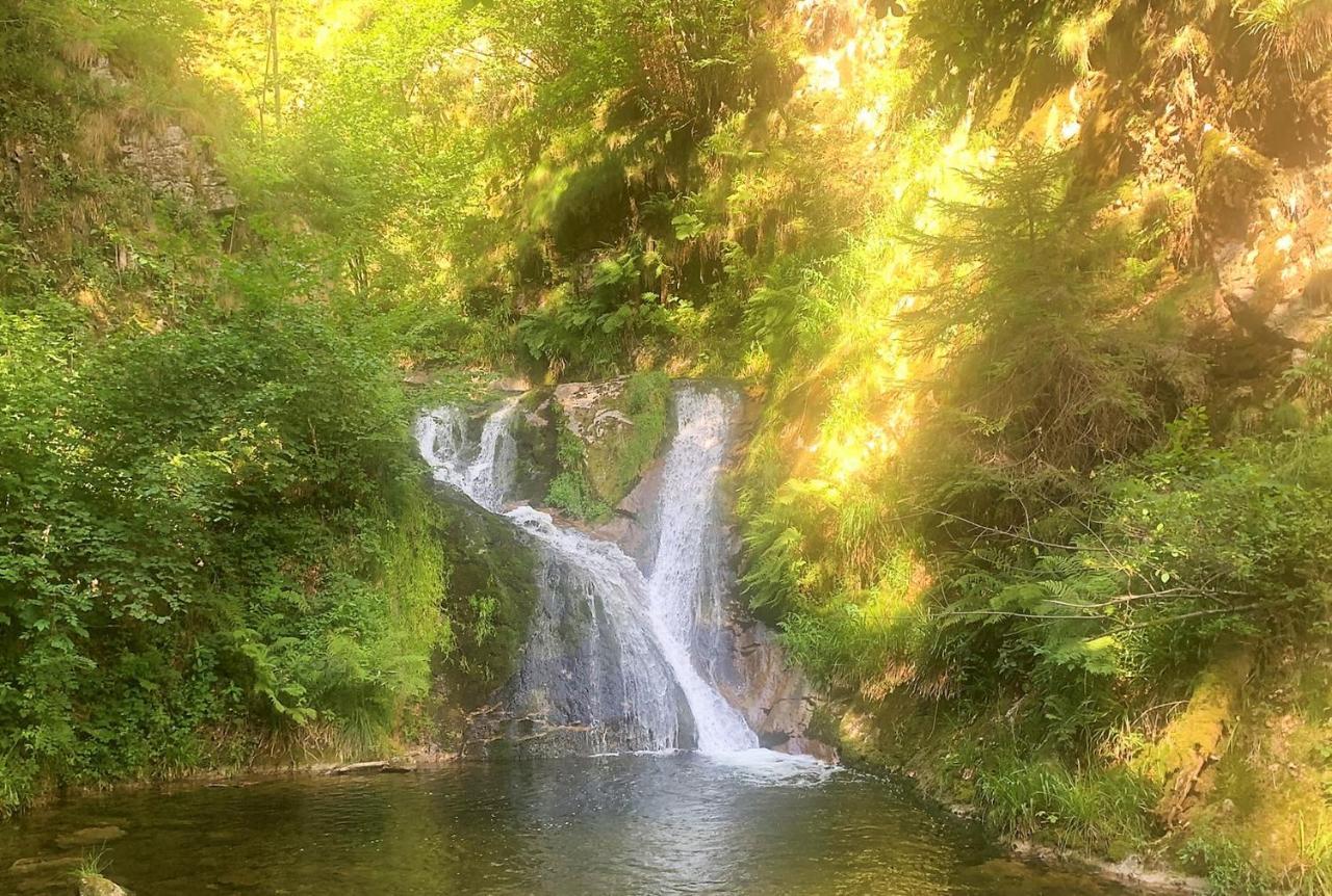 Winzerhof Maennle Lägenhet Oberkirch  Exteriör bild