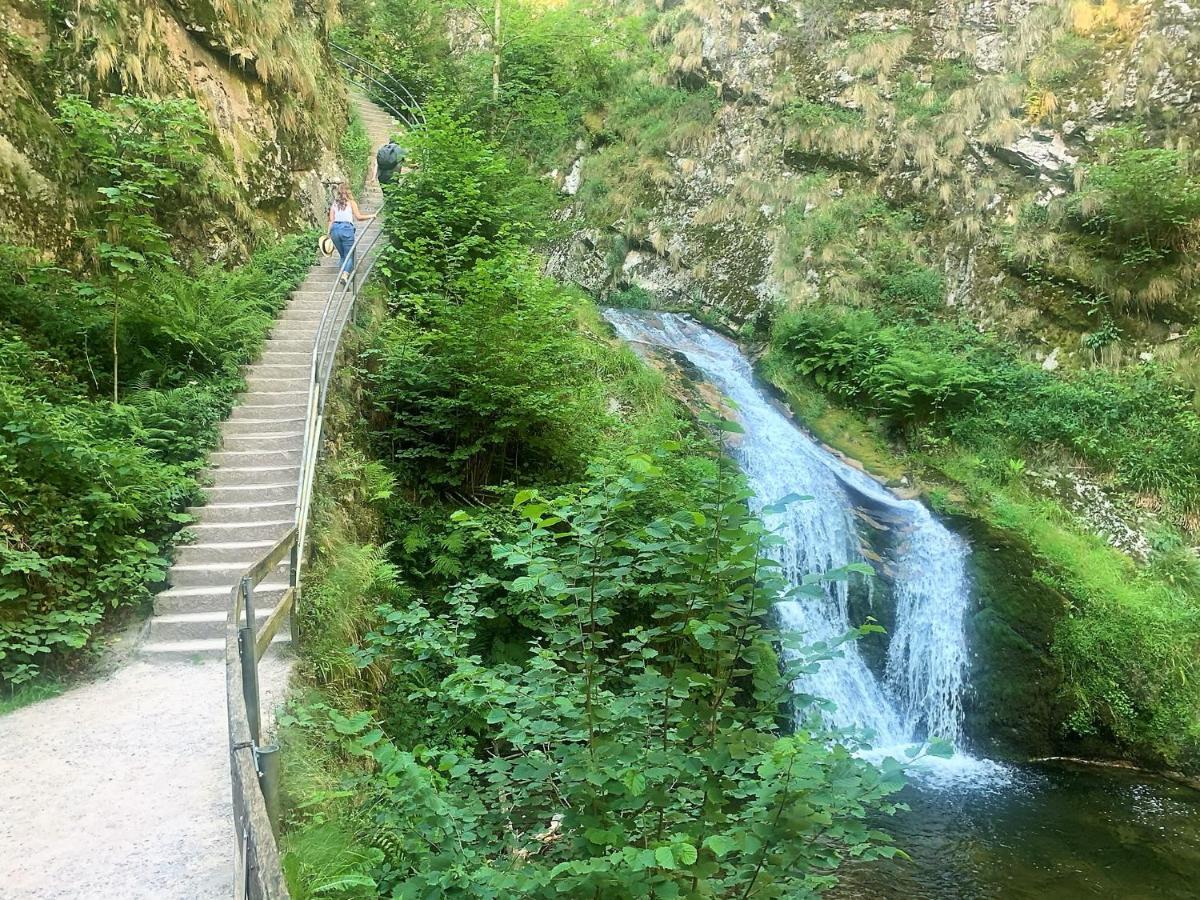 Winzerhof Maennle Lägenhet Oberkirch  Exteriör bild