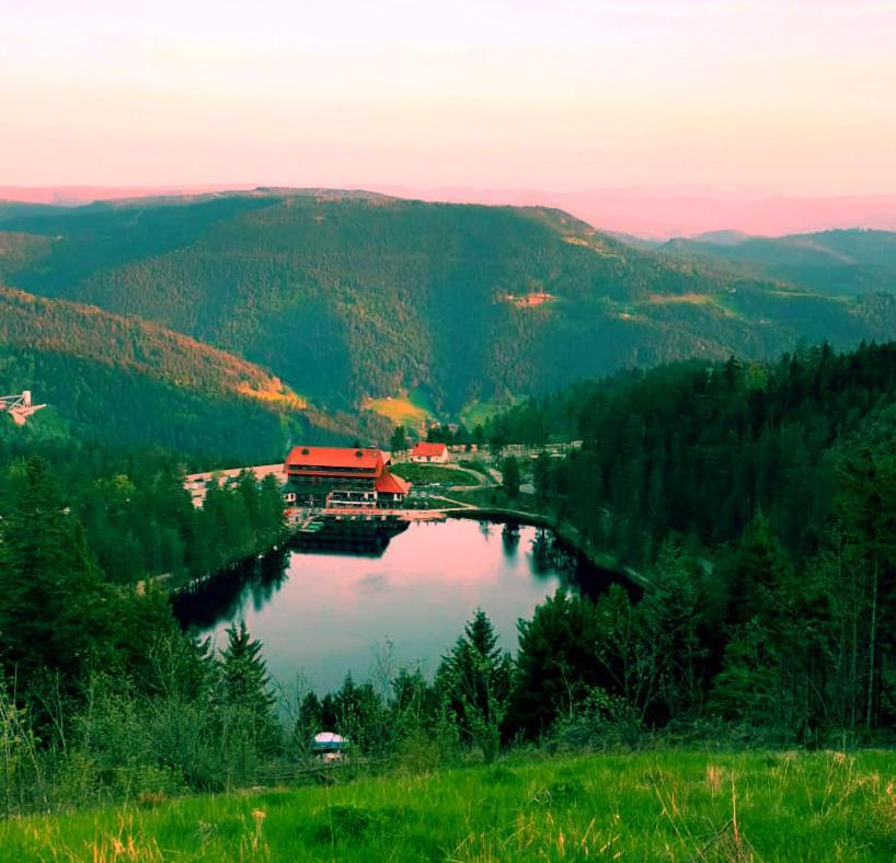 Winzerhof Maennle Lägenhet Oberkirch  Exteriör bild