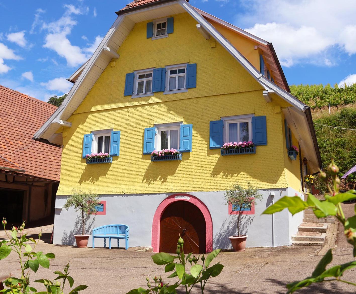 Winzerhof Maennle Lägenhet Oberkirch  Exteriör bild